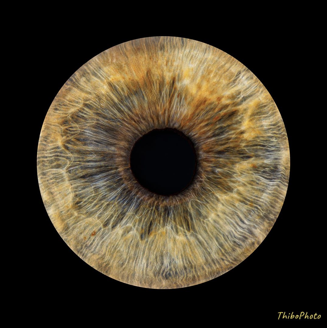 Les offres du moment